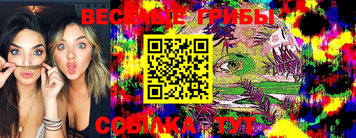 Галлюциногенные грибы Cubensis Назрань
