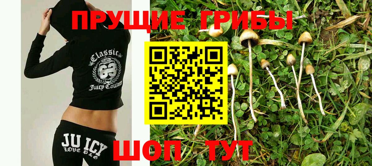 как найти закладки  Псилоцибиновые грибы MAGIC MUSHROOMS  Галлюциногенные грибы мицелий  Вход с VPN  Назрань 